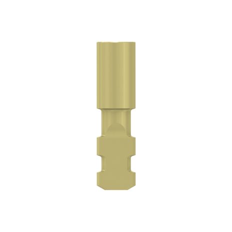Untitled design - 2021-08-13T095938.575