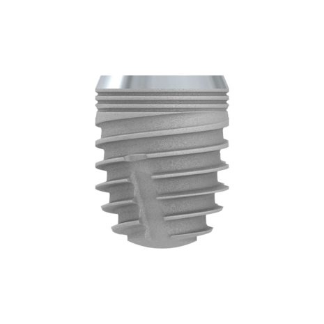 Untitled design (10)