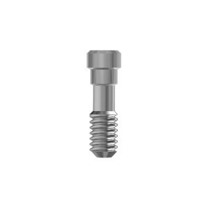 Mini prosthetic screw internal hex.